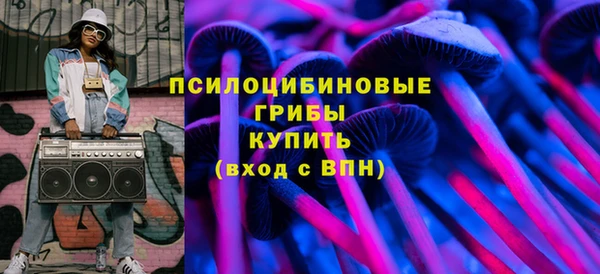 прущая мука Вяземский