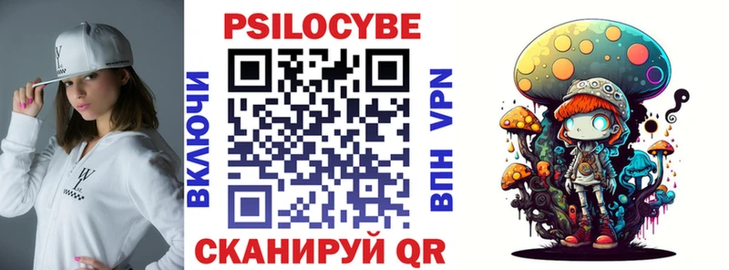 дарнет шоп Дмитриев Галлюциногенные грибы Psilocybe