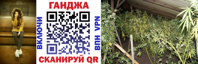 Канабис индика  как найти   Дмитриев 